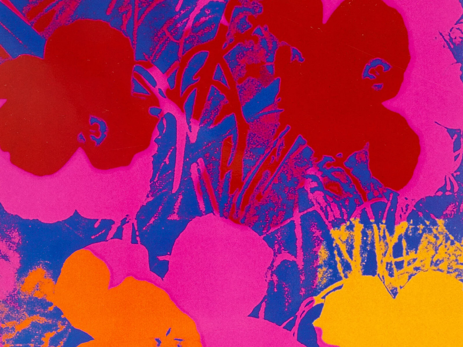 Artists’ Books and Monographs