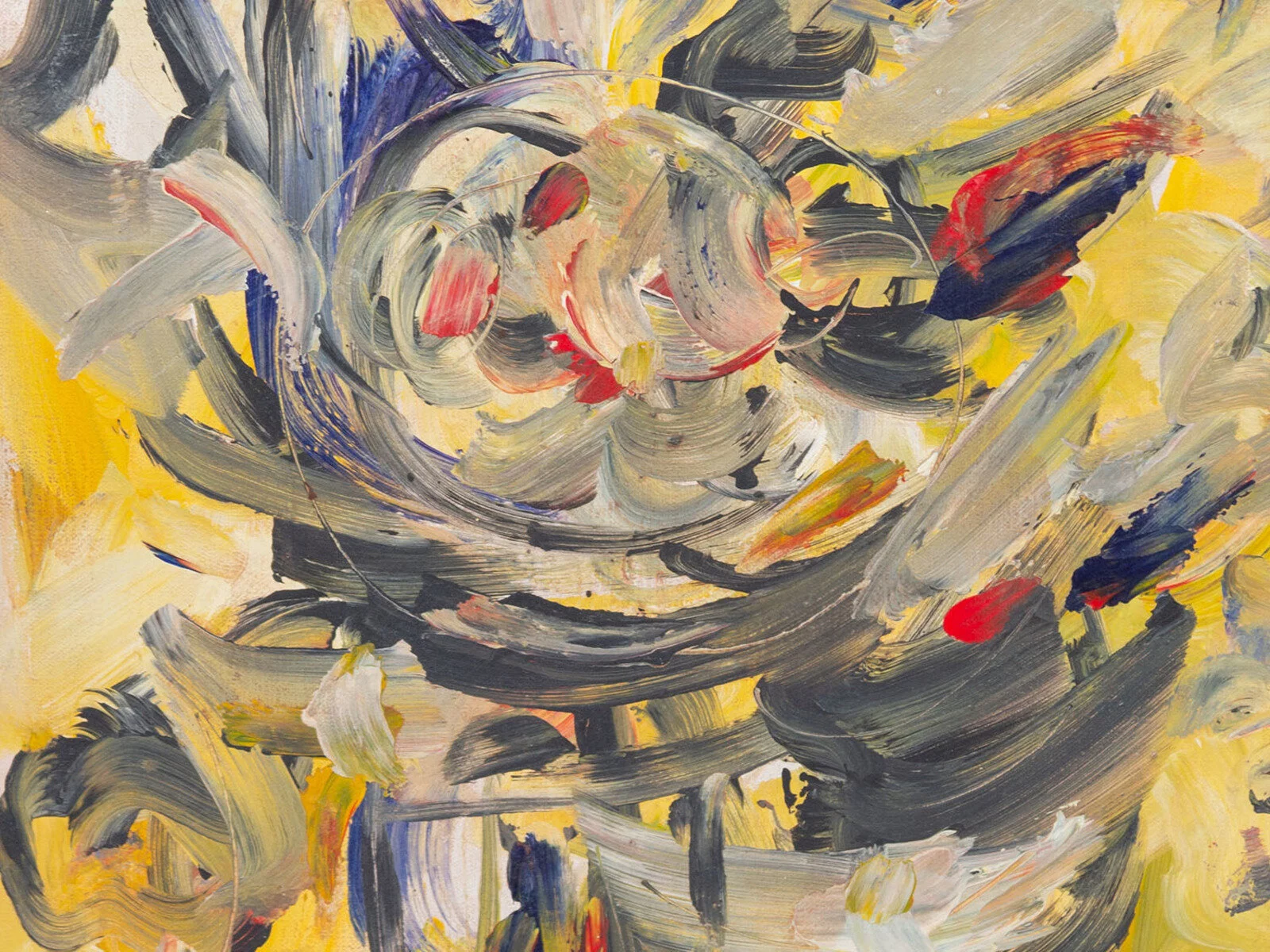 Palm Beach Collections