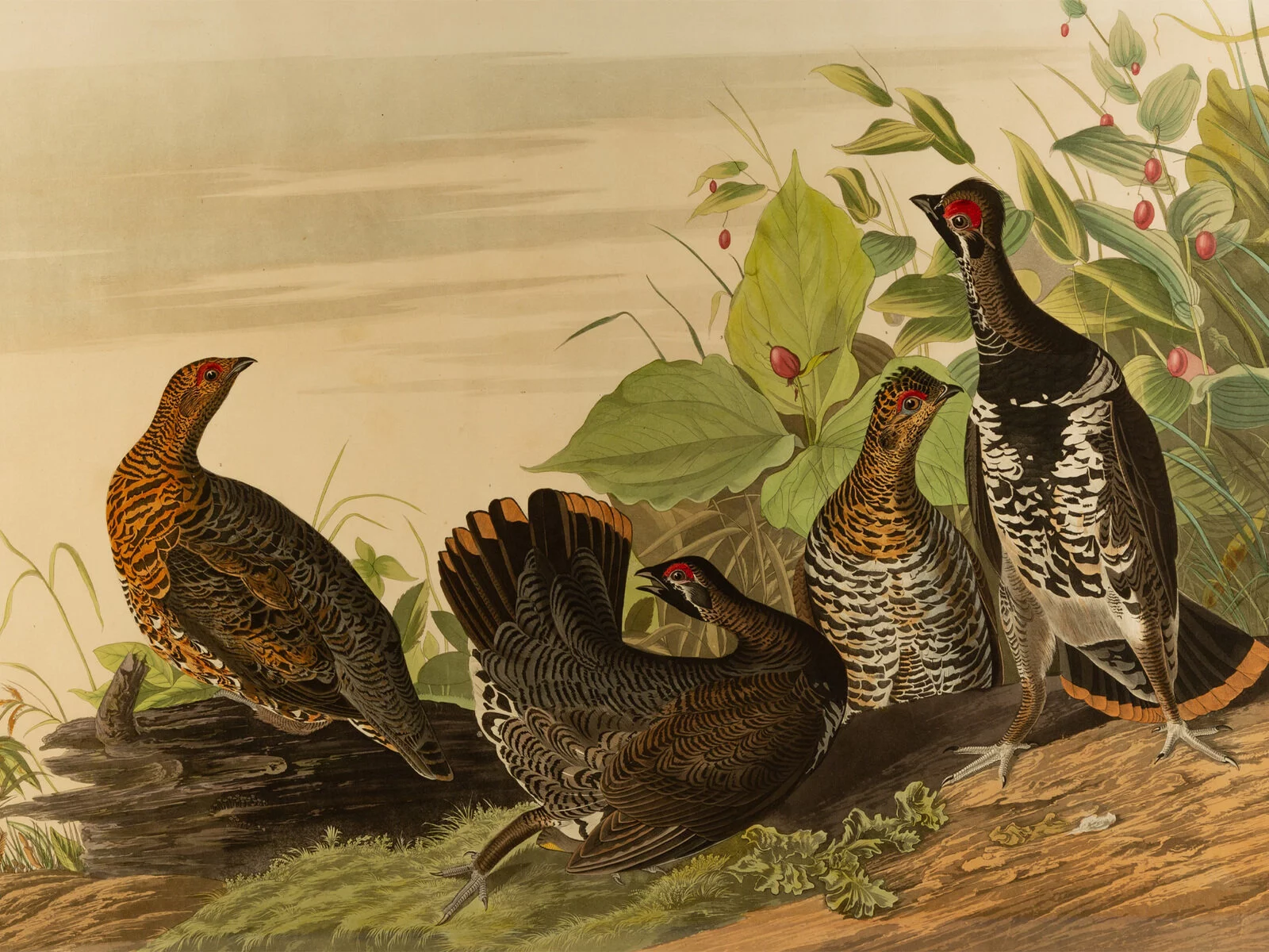 Palm Beach Collections, Session II