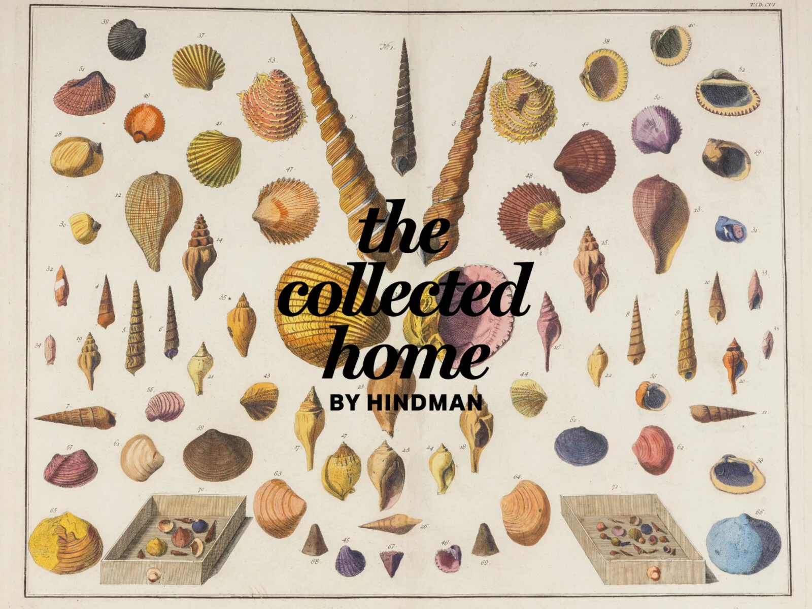 The Collected Home