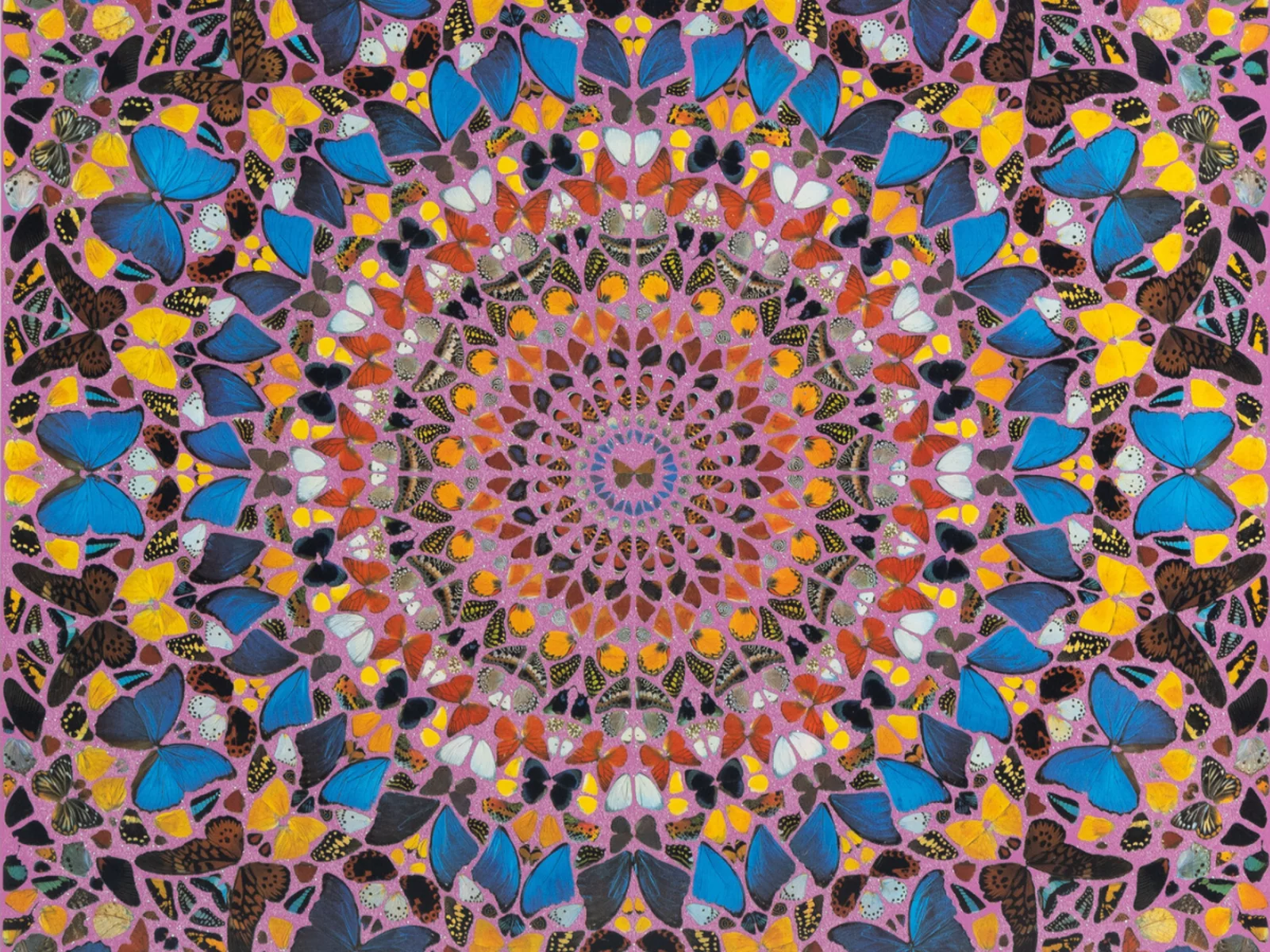 Collect: Prints & Photographs