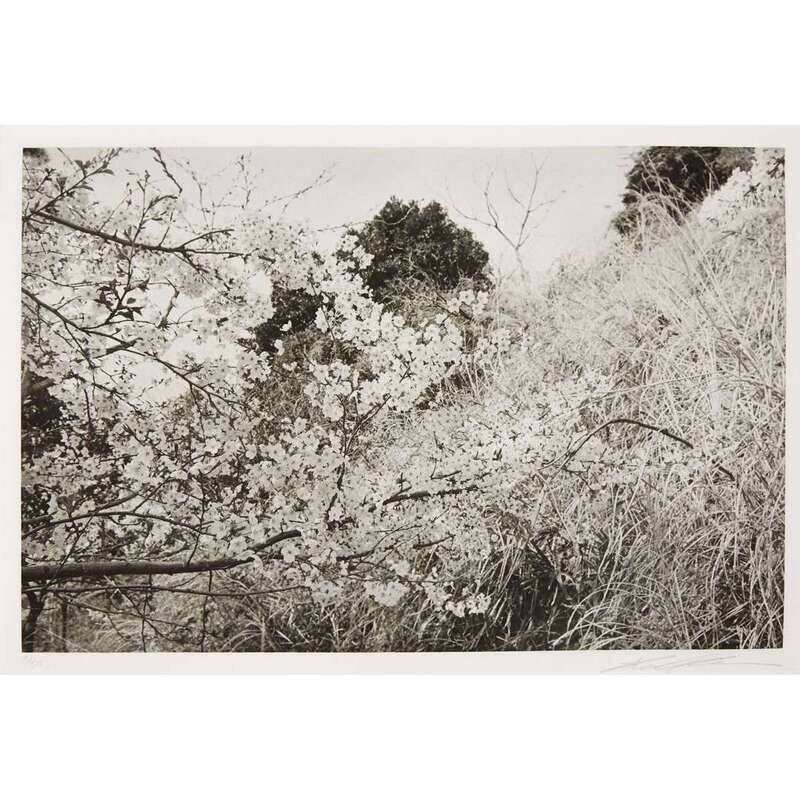 LEE FRIEDLANDER (AMERICAN, B. 1934) THREE PRINTS FROM 